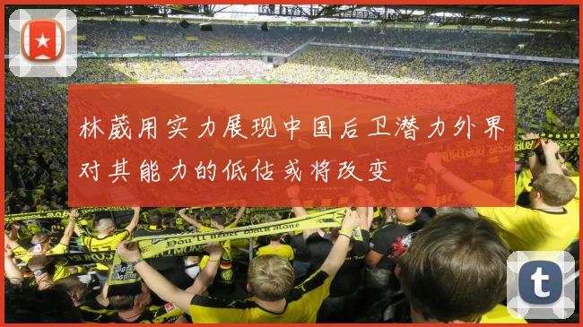 林葳用实力展现中国后卫潜力外界对其能力的低估或将改变