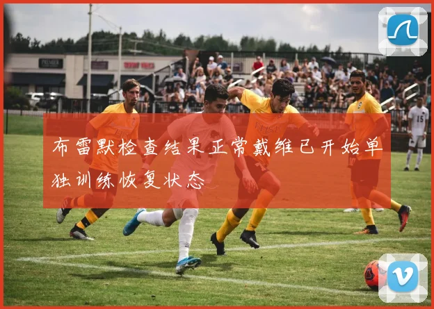 布雷默检查结果正常戴维已开始单独训练恢复状态