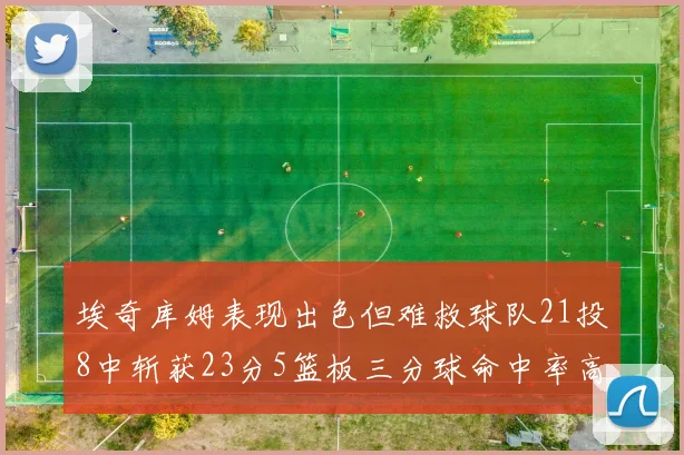 埃奇库姆表现出色但难救球队21投8中斩获23分5篮板三分球命中率高达45